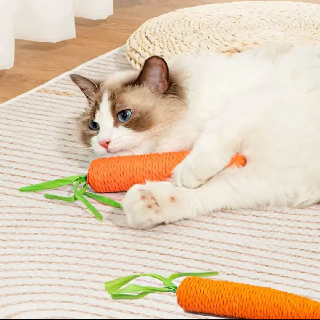 ElitePad - CarroPlay Cat Toy (2 pack)
