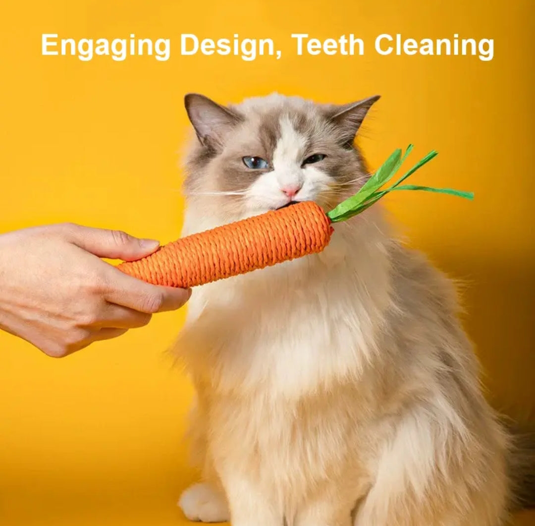 ElitePad - CarroPlay Cat Toy (2 pack)