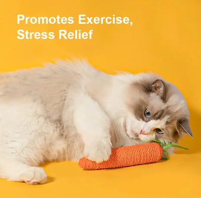 ElitePad - CarroPlay Cat Toy (2 pack)