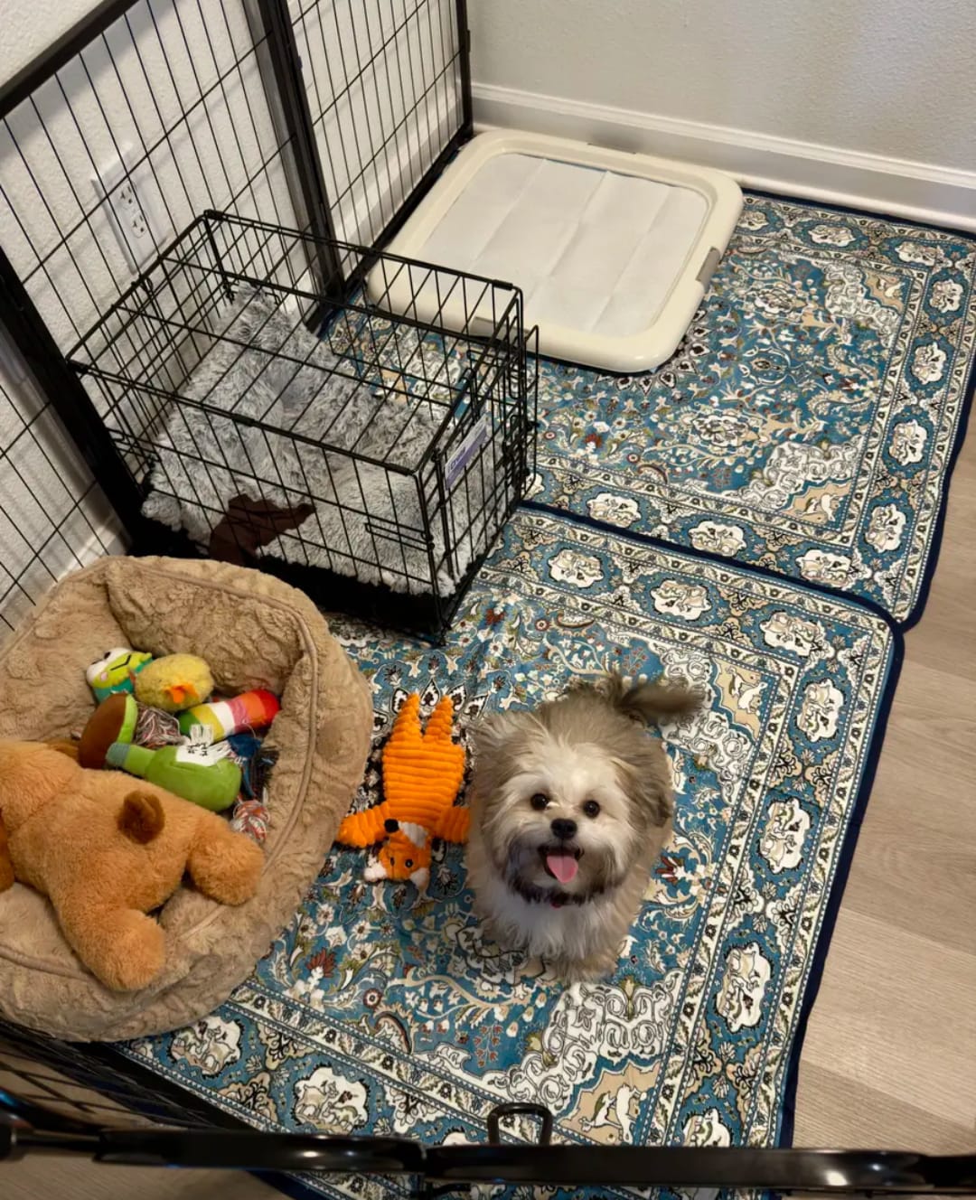 ElitePad - The Only Pet Pad You'll Ever Need