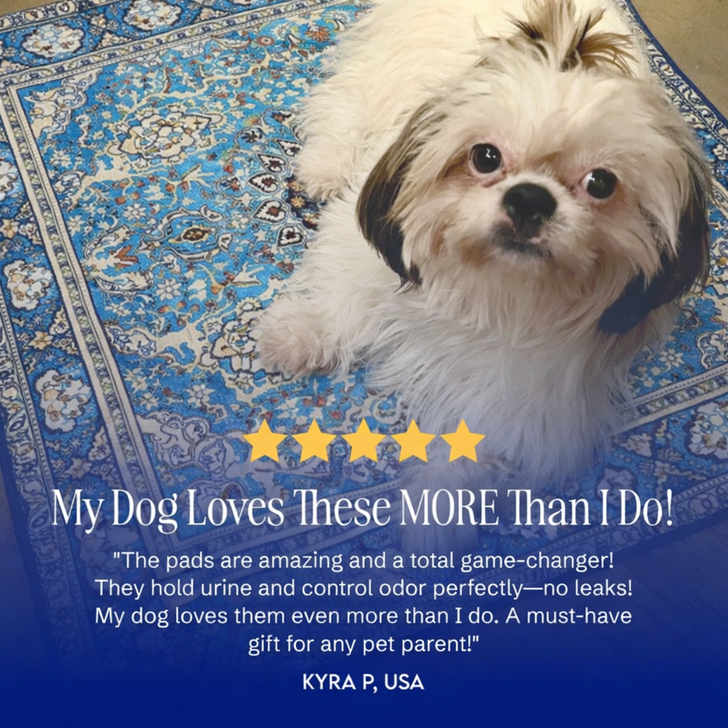 ElitePad - The Last Pee Pad You'll Get