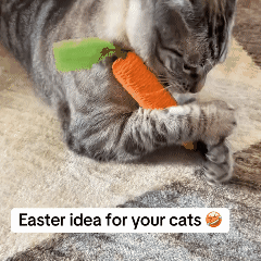 ElitePad - CarroPlay Cat Toy (2 pack)