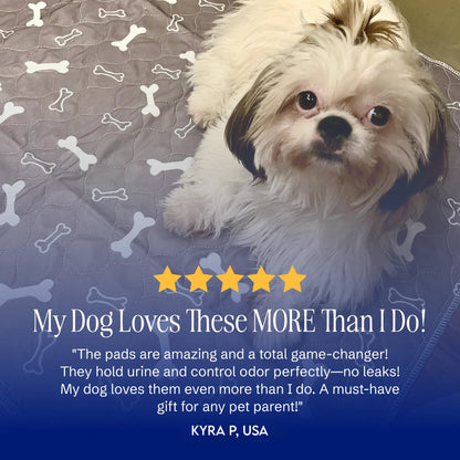 ElitePad - The Last Pee Pad You'll Get