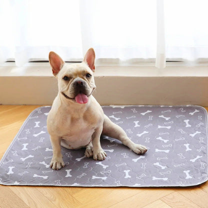 ElitePad - The Last Pee Pad You'll Get