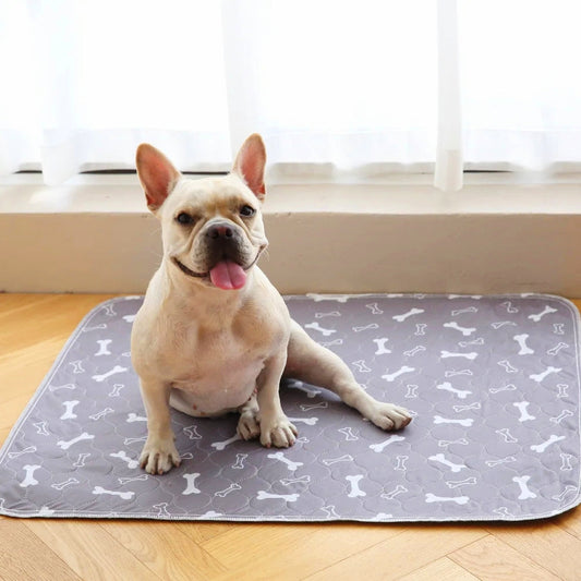 ElitePad - The Last Pee Pad You'll Get